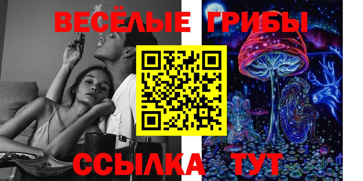 закладка  Вход с VPN  Псилоцибиновые грибы Magic Shrooms  Елабуга  Галлюциногенные грибы GOLDEN TEACHER 